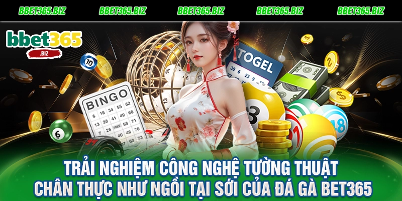 Trải nghiệm công nghệ tường thuật chân thực như ngồi tại sới của đá gà BET365
